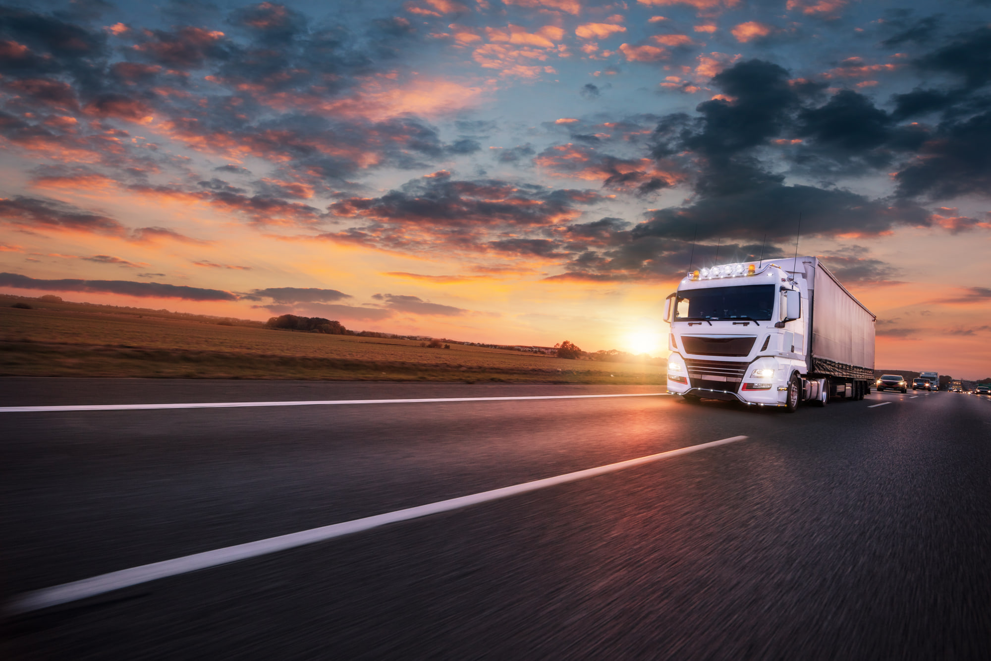 Domestic & European Road Transport with — Arwen Olsen